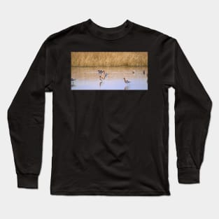 American Avocets Long Sleeve T-Shirt